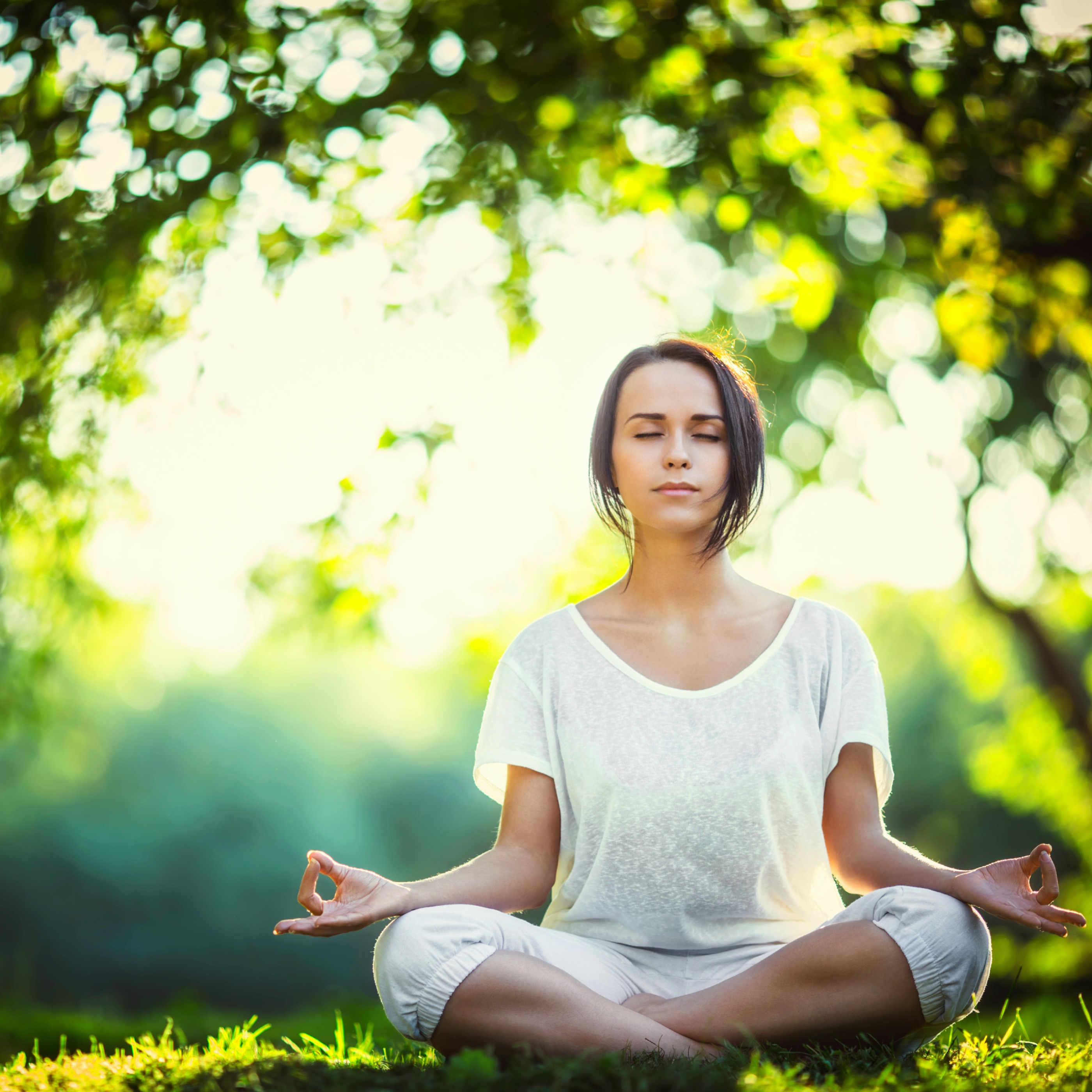 Combat Stress with Meditation